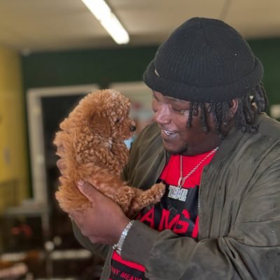 mini poodle puppies (2)