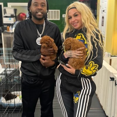 mini poodle puppies (4)